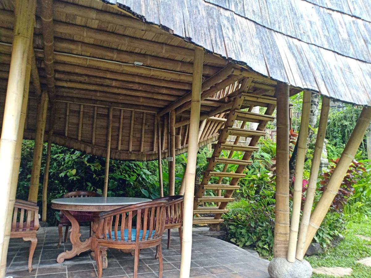 Jero Tumbuk Private Villa Selat Exterior photo