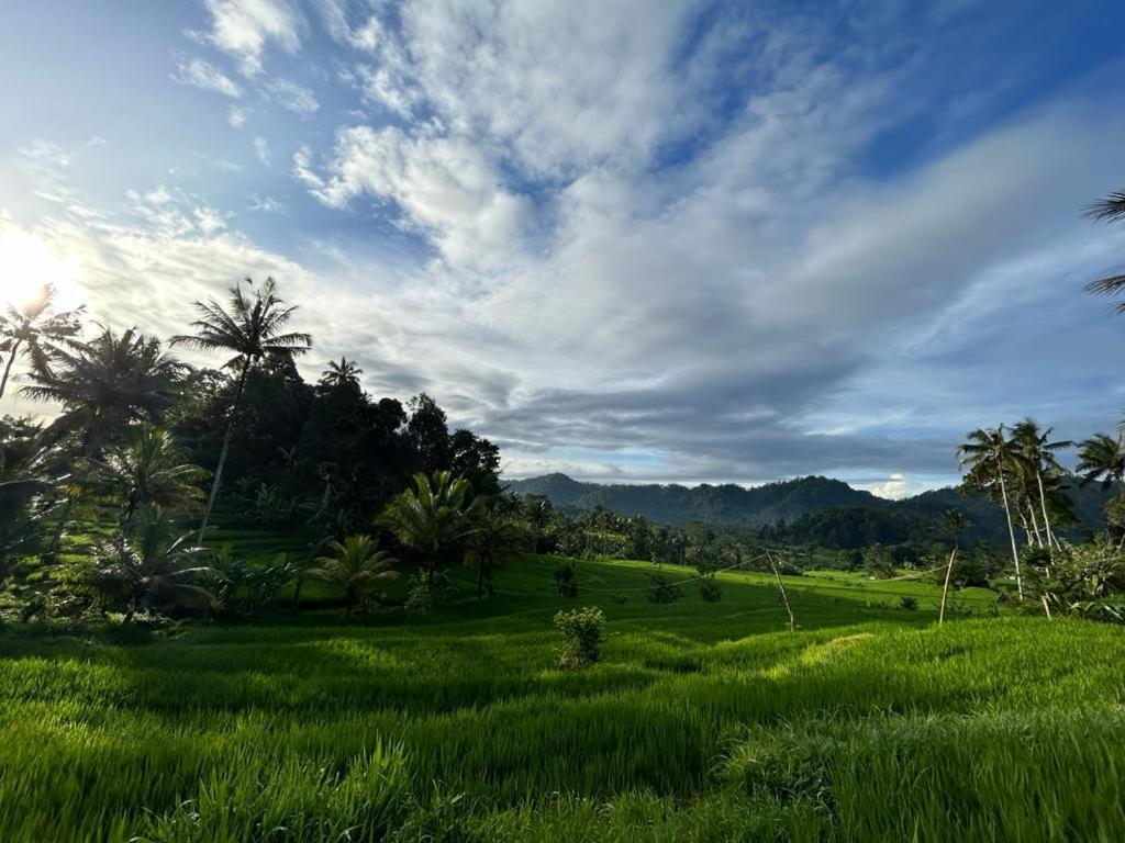 Jero Tumbuk Private Villa Selat Exterior photo